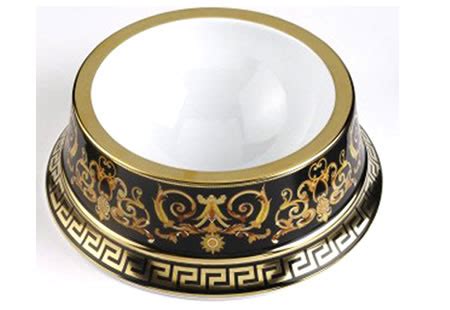 versace dog bowl